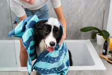 Load image into Gallery viewer, Dock &amp; Bay - Dog &amp; Bay Towel
